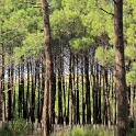 2009-12-lacanau-OK (4)